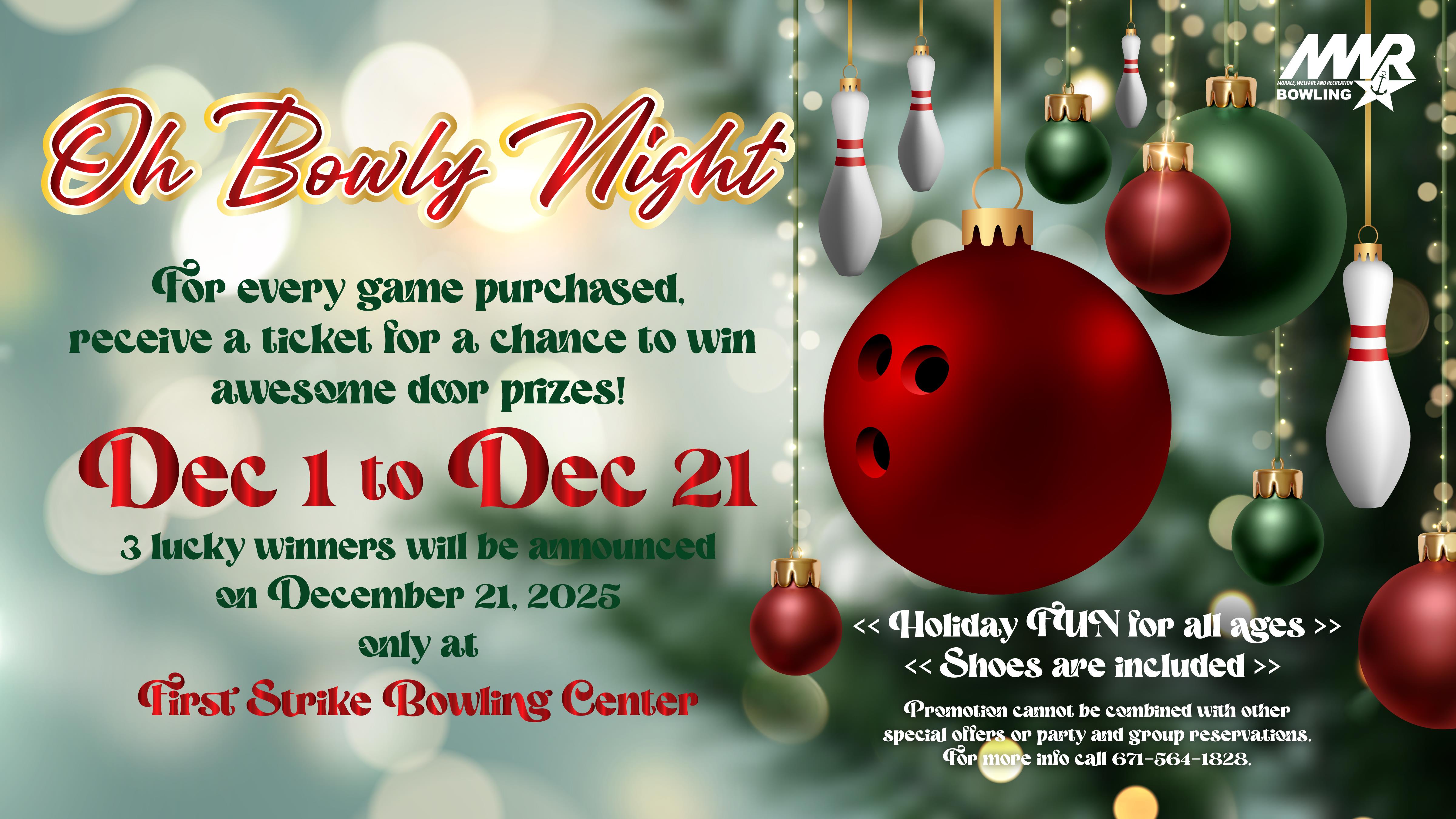 landscape Bowly Night.jpeg